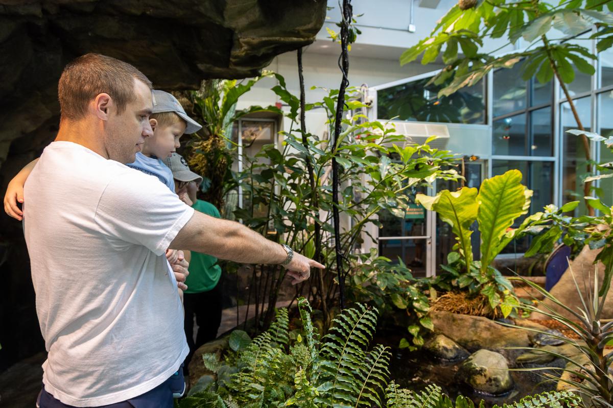 Visitor with child, pointing at turtles.